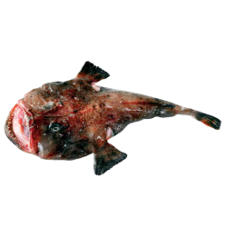 Breiflabbgarn 0,60 x 180