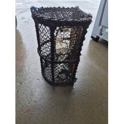 Krabbeteiner - Taskekrabbe  - 12 Kg - Brukt