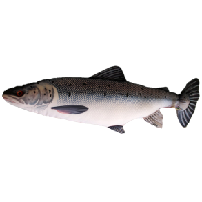 Pute / kosefisk Laks 90cm