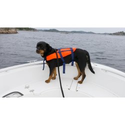 Redningsvest til hund