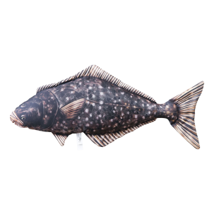 Pute - Kveite 72cm